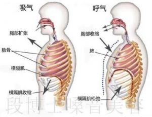 腹部呼吸唱歌 唱歌呼吸法