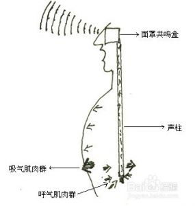 如何运用丹田控制气息唱歌 唱歌气息运用