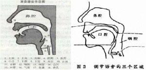 唱歌如何控制鼻音 唱歌的时候有鼻音怎么改变