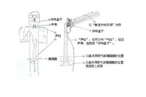 唱歌气息如何下沉 初学者如何练唱歌气息