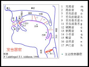 普通话发音矫正 普通话标准发音