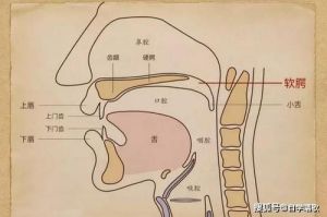 口腔共鸣是什么感觉 丹田唱法