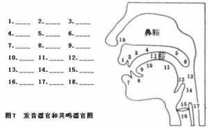 唱歌共鸣是什么感觉 头腔共鸣