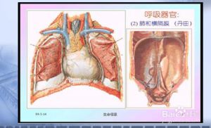 鼻腔共鸣和鼻音 鼻腔共鸣最简单的方法