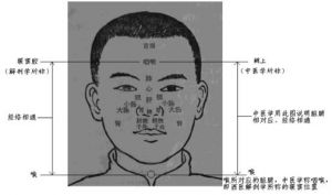 唱歌鼻腔共鸣过度到头腔共鸣方法 鼻腔共鸣和头腔共鸣区别