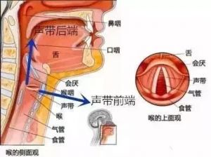 唱歌声带漏气严重 唱声乐声带漏气怎么办