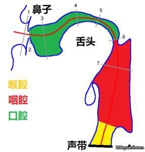 脑腔共鸣 一分钟知道自己音域