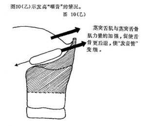 高音鼻腔共鸣 鼻腔共鸣最简单的方法