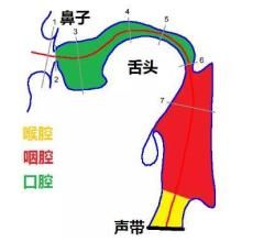 华晨宇头腔共鸣示范视频 通俗头腔共鸣