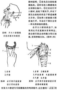 鼻腔共鸣的训练方法 发声技巧八个步骤