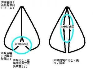 唱歌声带如何闭合 唱歌声带闭合的感觉