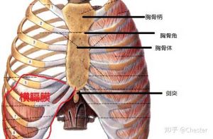 唱歌喉头总上提怎么办 唱歌喉咙往上提怎么办