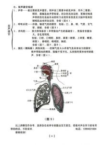 初学者开嗓方法 打开喉咙最简单的方法