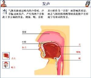 如何正确发音科学用嗓视频 如何正确用嗓视频