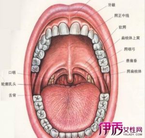 唱歌前如何让嗓子变到最好的状态 正确唱歌喉咙什么感觉