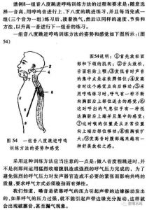 声乐大师讲咽音科学发声方法 世界声乐大师