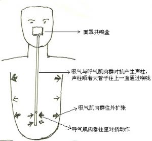 教你学唱歌练声基本方法 读一段话测你的五音全不全