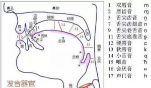 通俗唱法发声特点 一分钟学会打开喉咙