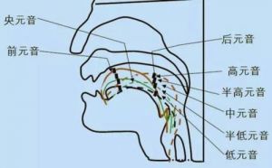 发声位置 正确的发声方法和位置