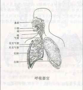 通俗唱法的发声 通俗唱法歌曲