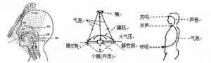 男中美声唱法技巧发声位置 初学美声唱法发音技巧