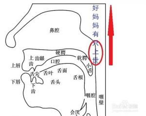 唱歌发声位置图解sls 正确的发声位置图解