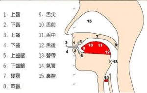 咽腔共鸣 男生练成女声方法