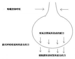 怎样找到头腔共鸣 头腔共鸣图解