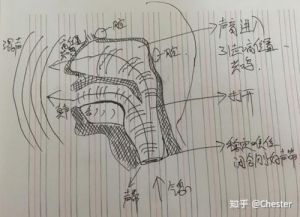 唱歌假声怎么唱 男生唱歌飙高音技巧