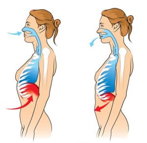 女士腹式呼吸会会胖肚子吗 下腹肥胖和上腹肥胖