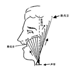 怎么练高音不用假音 高音和假音的区别