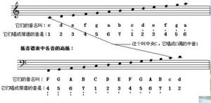 什么是高音什么是低音 低音高音频率