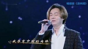 杨培安与石头飙高音 杨培安高音怎么样