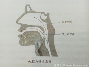 怎么把高音练上去 普通人怎么把高音唱上去