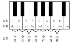 怎么判断音高 音乐的音高是由什么决定的