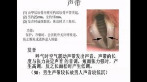 唱歌胸腔共鸣训练方法 唱歌呼吸法