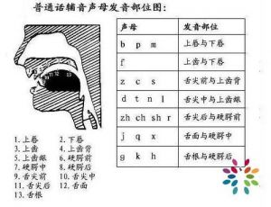 播音发声技巧八个步骤 主持人发音训练