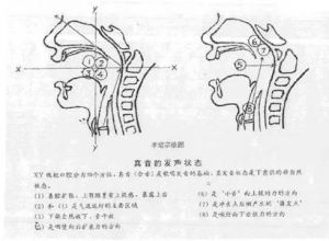 面罩唱法和开闭唱法 美声的面罩唱法流行唱法有吗