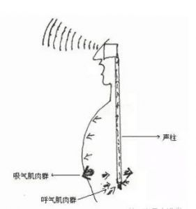 面罩共鸣sls 面罩共鸣的焦点