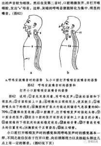 喉腔共鸣 胸腔共鸣练习方法