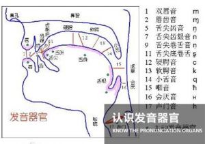 怎么用鼻腔共鸣发音 气息和鼻腔共鸣