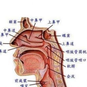 面罩共鸣教学 面罩共鸣与贴着咽壁