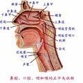 胸腔共鸣歌曲 怎么胸腔共鸣