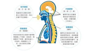 唱歌怎么共鸣发声 唱歌怎么共鸣