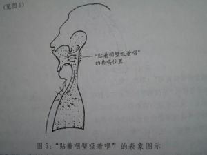 唱歌共鸣教学 唱歌共鸣怎么练