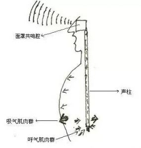 怎么样进行面罩唱法 面罩唱法科学吗