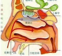 蝶窦共呜 强共呜箫制作步骤