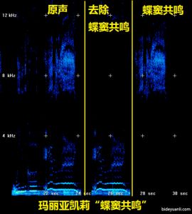 蝶窦共鸣练习 蝶窦共鸣害处