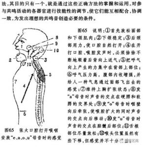 盆腔共鸣的训练方法 喉腔共鸣的训练方法