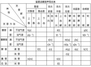 辅音发音部位 国际辅音音标发音